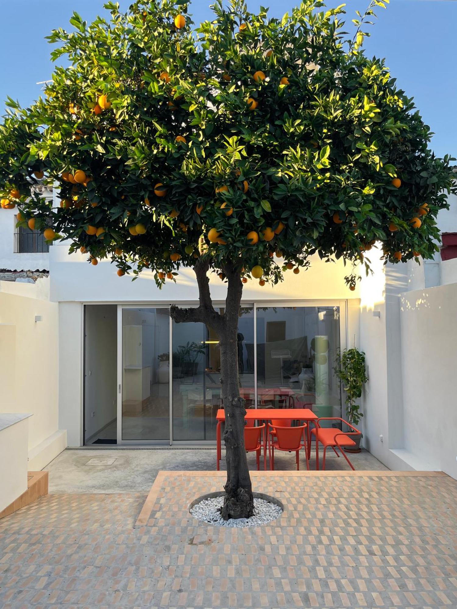 Design & Art, Patio With Orange Tree, Near Seville Carrion de Los Cespedes Екстер'єр фото